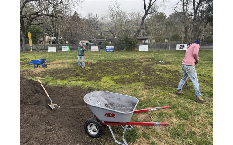 LIVE FROM THE FIELD:  THE WMLL FIELD CREW IN ACTION